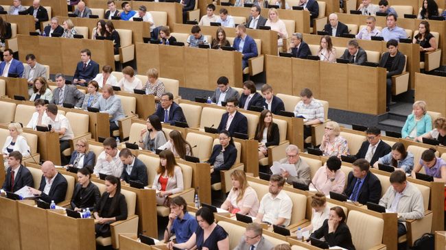 Участники слушаний в Государственной Думе. Архивное фото