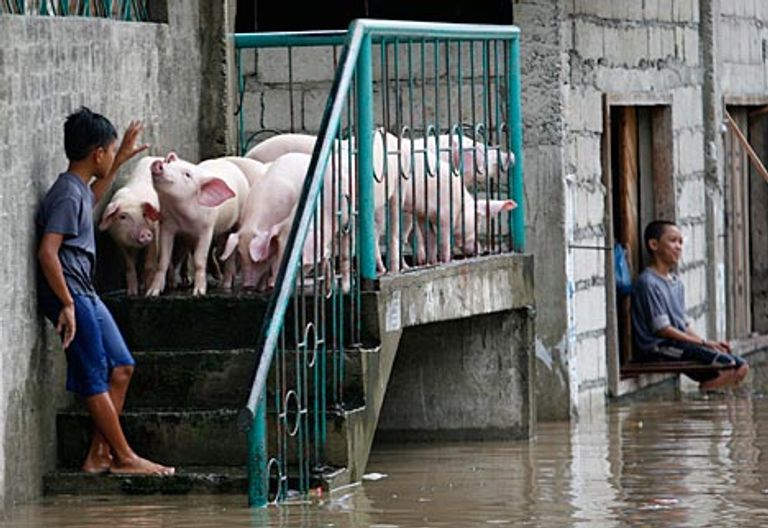 REUTERS/Stringer REUTERS/Stringer
