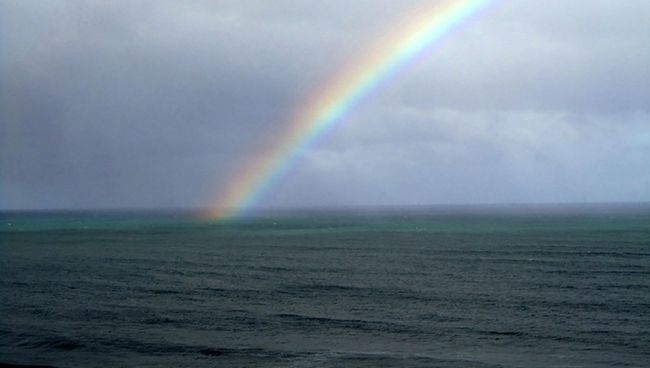 Зеленые пятна на воде – цветущий фитопланктон Зеленые пятна на воде – цветущий фитопланктон