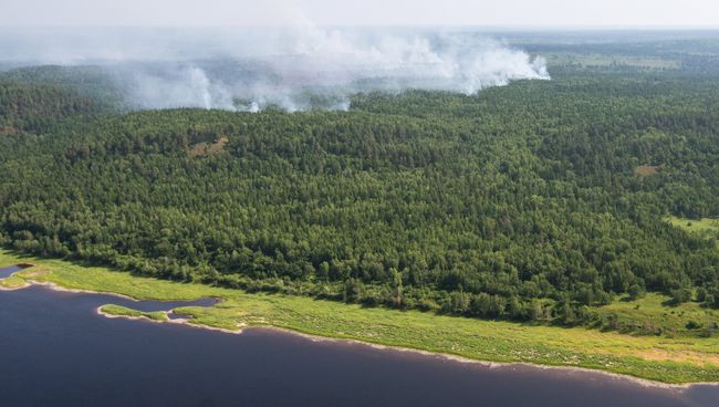 Пожары в Амурской области. Архивное фото