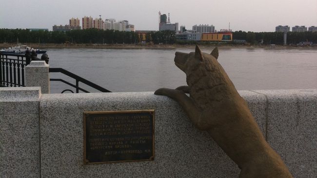 Памятник собаке Дружок на набережной реки Амур в городе Благовещенске Памятник собаке Дружок на набережной реки Амур в городе Благовещенске