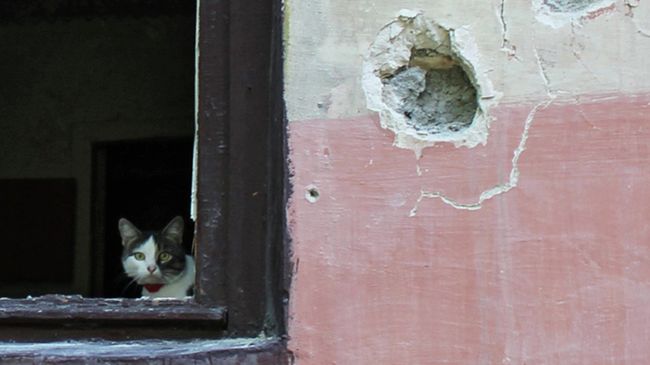 Поврежденный в результате обстрела дом в Горловке. Архивное фото Поврежденный в результате обстрела дом в Горловке. Архивное фото