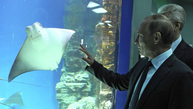 Президент РФ В.Путин посетил центр океанографии и морской биологии Москвариум Президент РФ В.Путин посетил центр океанографии и морской биологии Москвариум