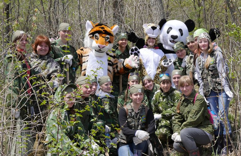 Ежегодные посадки WWF кедра на Амуре