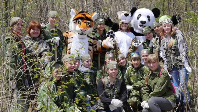 Ежегодные посадки WWF кедра на Амуре Ежегодные посадки WWF кедра на Амуре