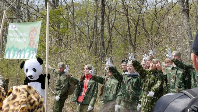 Ежегодные посадки WWF кедра на Амуре. Архивное фото Ежегодные посадки WWF кедра на Амуре. Архивное фото