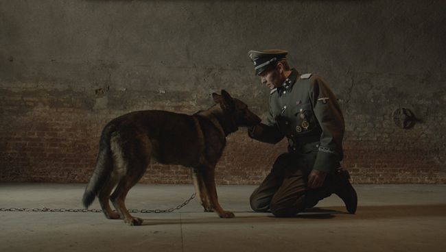 Кадр из фильма Брут