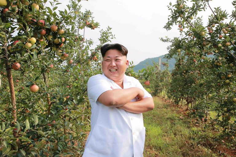 Северокорейский лидер Ким Чен Ын во время посещения Taedonggang Combined Fruit Farm в Пхеньяне Северокорейский лидер Ким Чен Ын во время посещения Taedonggang Combined Fruit Farm в Пхеньяне