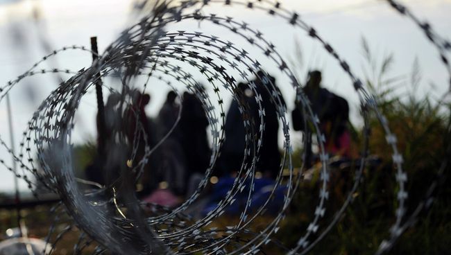 Мигранты на границе Венгрии и Сербии. Август 2015 Мигранты на границе Венгрии и Сербии. Август 2015