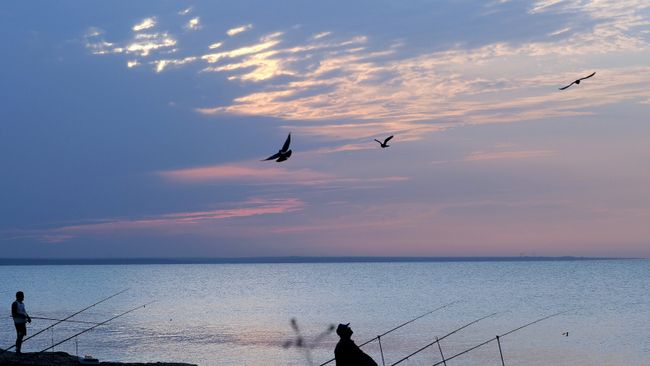 Рыбаки на закате на берегу Черного моря в районе поселка Береговое под Феодосией. Архивное фото Рыбаки на закате на берегу Черного моря в районе поселка Береговое под Феодосией. Архивное фото