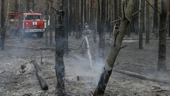 Пожарные тушат лесной пожар под Киевом Пожарные тушат лесной пожар под Киевом