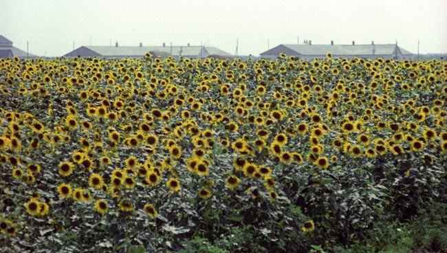 Украина. Архивное фото Украина. Архивное фото