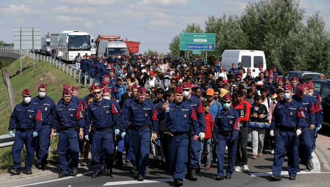 Полиция Венгрии собирают мигрантов в районе поселка Реске. 9 сентября 2015 Полиция Венгрии собирают мигрантов в районе поселка Реске. 9 сентября 2015