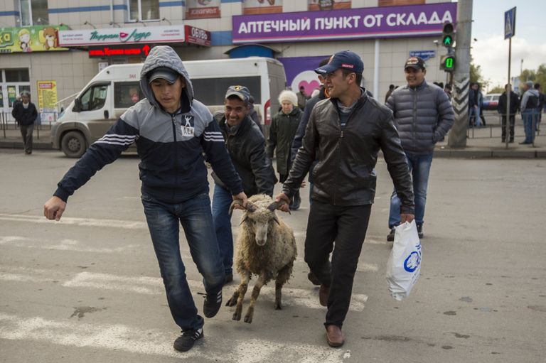 Мусульмане ведут барана во время праздника Курбан-Байрам возле Сибирской соборной мечети в Омске Мусульмане ведут барана во время праздника Курбан-Байрам возле Сибирской соборной мечети в Омске