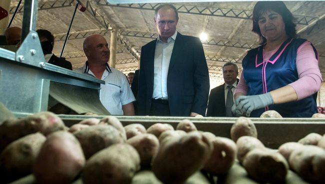Президент России Владимир Путин во время осмотра хранилища крестьянского хозяйства Юзефов Н.Н. Президент России Владимир Путин во время осмотра хранилища крестьянского хозяйства Юзефов Н.Н.