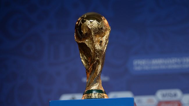 Кубок чемпионата мира. Архивное фото