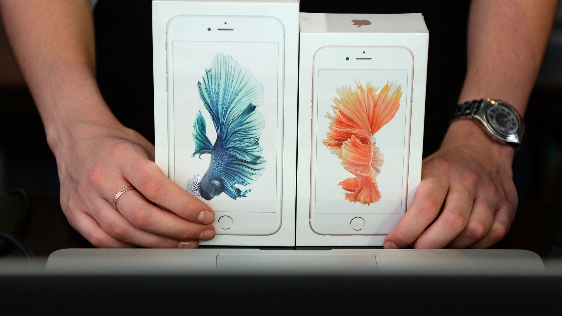 Продавец демонстрирует новые смартфоны Apple iPhone 6 и iPhone 6 plus - РИА Новости, 1920, 22.01.2021