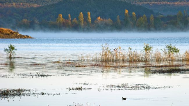 Утро на симферопольском водохранилище в Крыму. Архивное фото Утро на симферопольском водохранилище в Крыму. Архивное фото