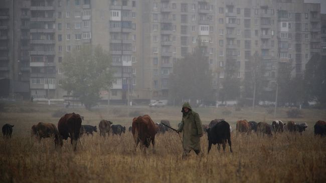 Местный житель в Енакиево, Донецкая область, Украина. Архивное фото Местный житель в Енакиево, Донецкая область, Украина. Архивное фото