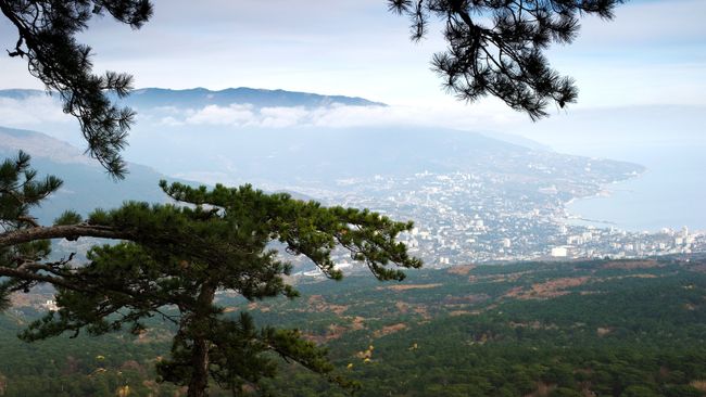 Вид на горы и Ялту с дороги на гору Ай-Петри в Крыму. Архивное фото Вид на горы и Ялту с дороги на гору Ай-Петри в Крыму. Архивное фото