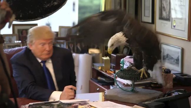Кандидат в президенты США от Республиканской партии Дональд Трамп во время фотосессии для Time Magazine Кандидат в президенты США от Республиканской партии Дональд Трамп во время фотосессии для Time Magazine