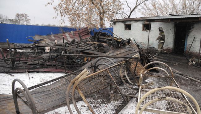 На месте пожара в психоневрологическом диспансере в селе Алферовка Новохоперского района Воронежской области. Архивное фото На месте пожара в психоневрологическом диспансере в селе Алферовка Новохоперского района Воронежской области. Архивное фото