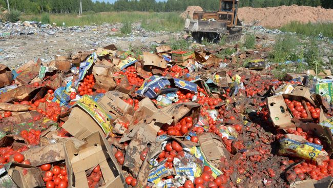 Уничтожение санкционной продукции. Архивное фото