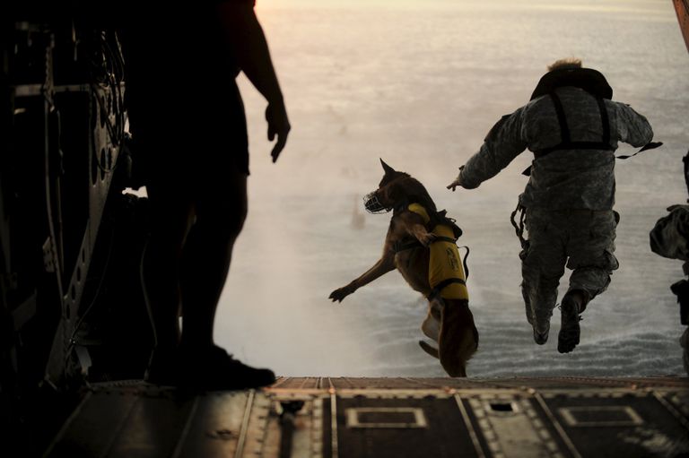 Солдат армии США во время тренировки в Мексиканском заливе Солдат армии США во время тренировки в Мексиканском заливе