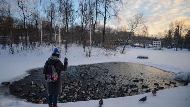 В Центральном парке культуры и отдыха имени Горького в Москве В Центральном парке культуры и отдыха имени Горького в Москве
