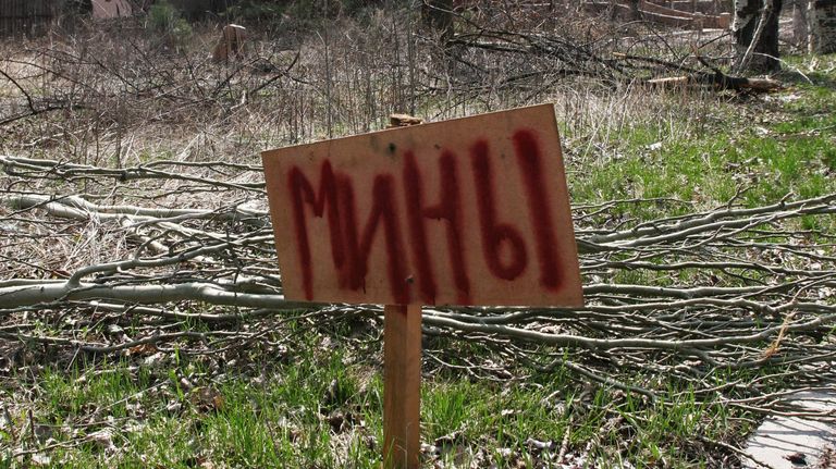 Представители ОБСЕ посетили район поселка Пески в Донецкой области Представители ОБСЕ посетили район поселка Пески в Донецкой области