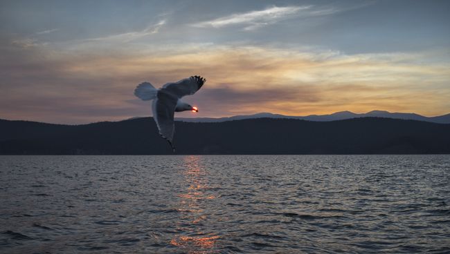 Ушканьи острова на озере Байкал. Архивное фото