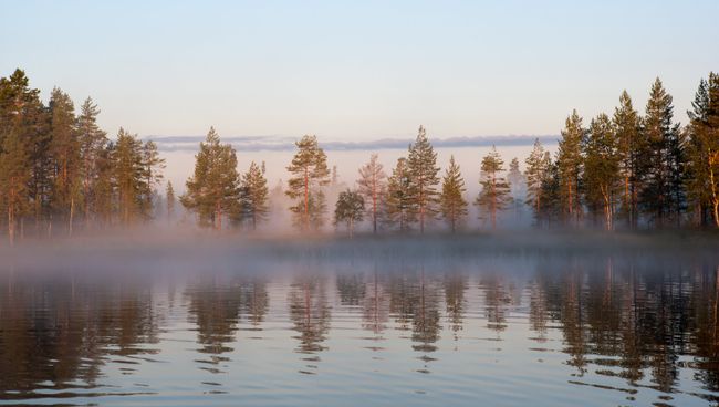 Туманное утро на лесном озере. Архивное фото