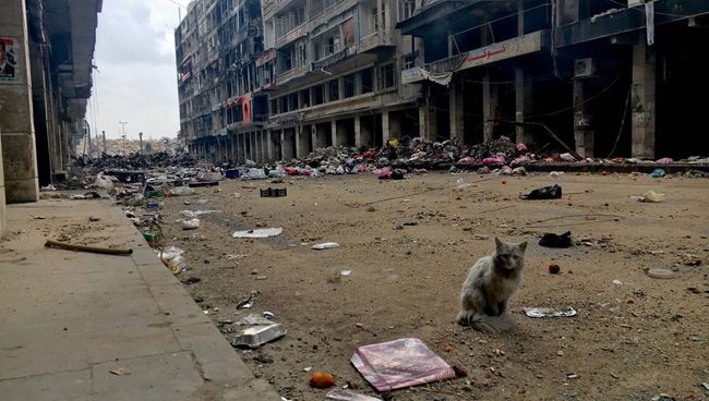 На одной из улиц в историческом центре в Алеппо На одной из улиц в историческом центре в Алеппо