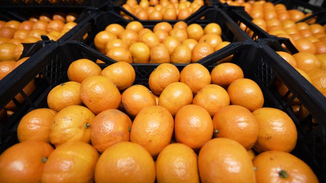 Мандарины на складе с сирийскими продуктами в агрокластере Фуд Сити в Москве