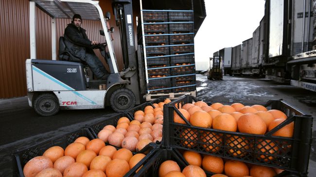 Грейпфруты на складе с сирийскими продуктами в агрокластере Фуд Сити в Москве Грейпфруты на складе с сирийскими продуктами в агрокластере Фуд Сити в Москве