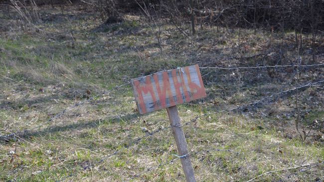 Нейтральная зона между ЛНР и Украиной близ населенного пункта Золотое. Архивное фото Нейтральная зона между ЛНР и Украиной близ населенного пункта Золотое. Архивное фото