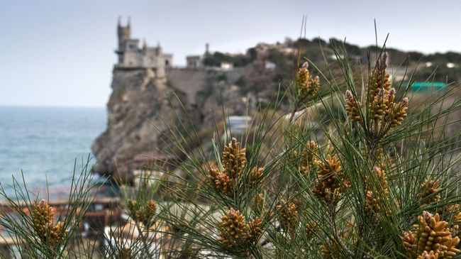 Весна в Крыму Весна в Крыму