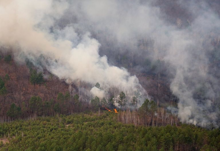 Лесной пожар в Свободненском районе Амурской области
