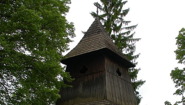 Древесные кольца Древесные кольца