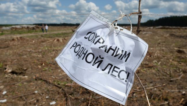 Табличка Сохрани родной лес. Архивное фото Табличка Сохрани родной лес. Архивное фото