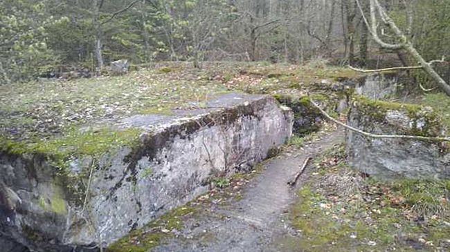 Бывший немецкий бункер в польских Мамерках, где предположительно может быть обнаружена Янтарная комната Бывший немецкий бункер в польских Мамерках, где предположительно может быть обнаружена Янтарная комната