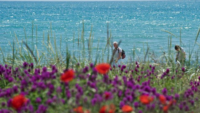 Берег Черного моря. Архивное фото