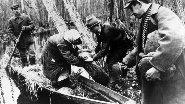 Великая Отечественная война 1941-1945 годов. Партизаны принимают хлеб