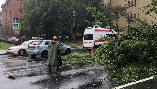 Последствия шторма в Санкт-Петербурге Последствия шторма в Санкт-Петербурге