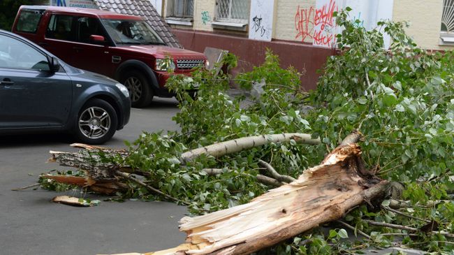 Последствия урагана в Москве Последствия урагана в Москве