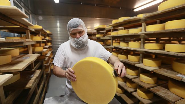 Обмывка и перекладка сыров в хранилище созревания сыра. Архивное фото