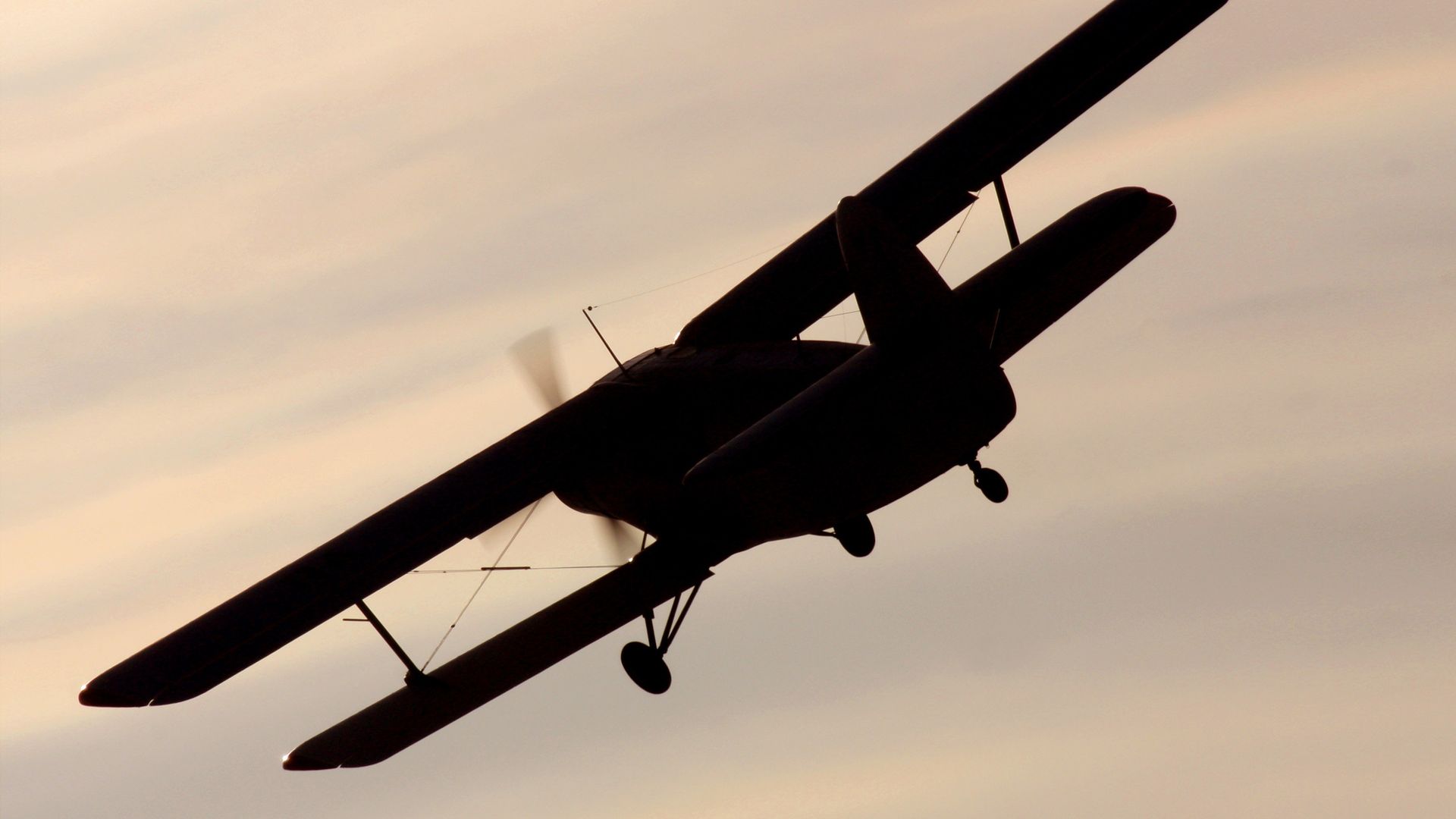 Самолет Ан-2 Самолет Ан-2 - РИА Новости, 1920, 19.05.2026