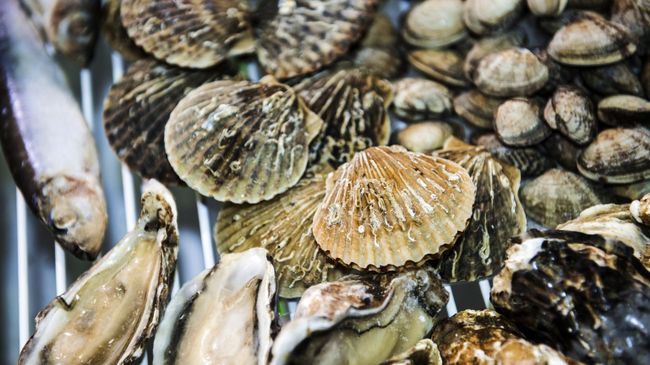 Морепродукты. Архивное фото Морепродукты. Архивное фото