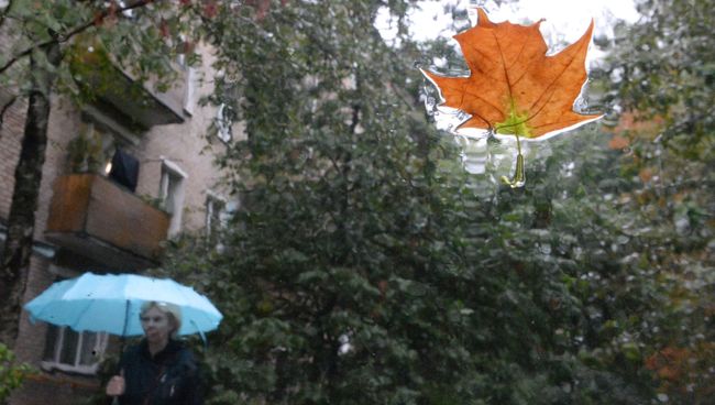Лист на стекле автомобиля во время дождя в Москве. 15 августа 2016 Лист на стекле автомобиля во время дождя в Москве. 15 августа 2016