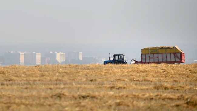 Уборка зерновых в Свердловской области. Архивное фото Уборка зерновых в Свердловской области. Архивное фото